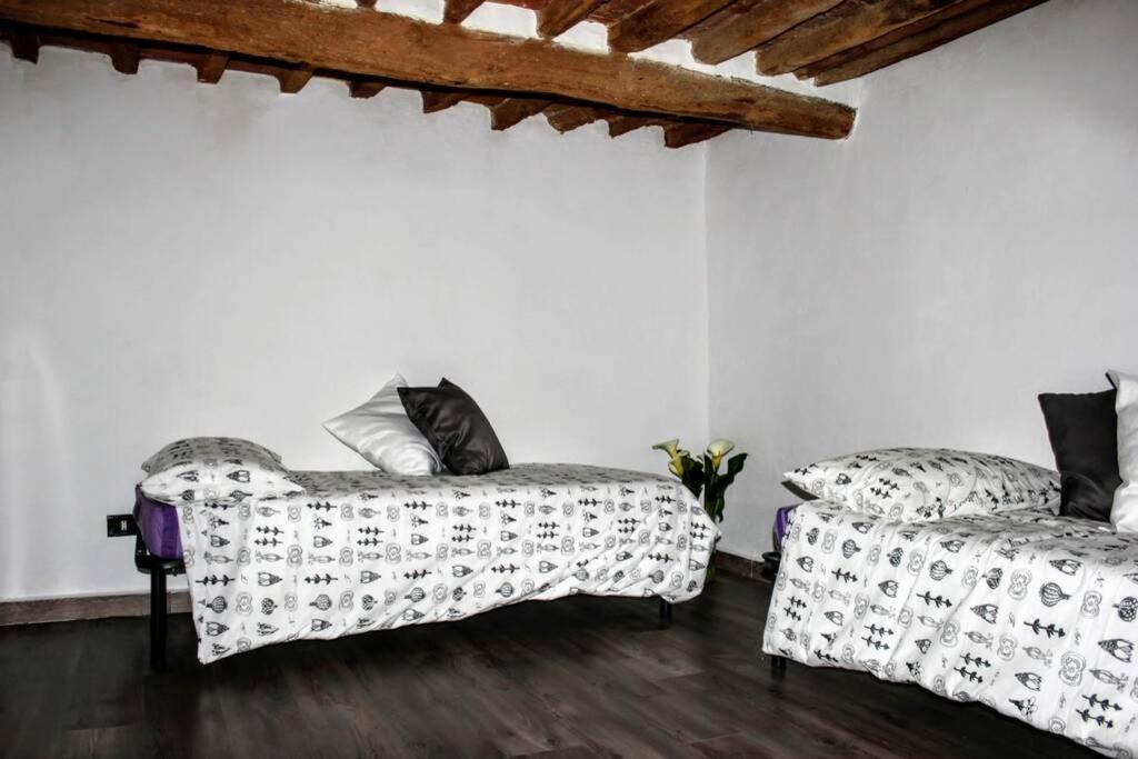 فيلا Panoramic And Beautiful House 4Km From The Sea. روزينيانو ماريتيمو المظهر الخارجي الصورة