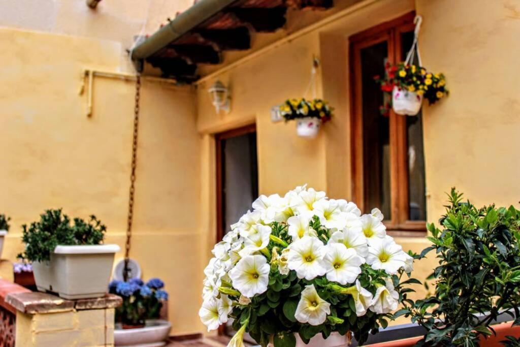 فيلا Panoramic And Beautiful House 4Km From The Sea. روزينيانو ماريتيمو المظهر الخارجي الصورة